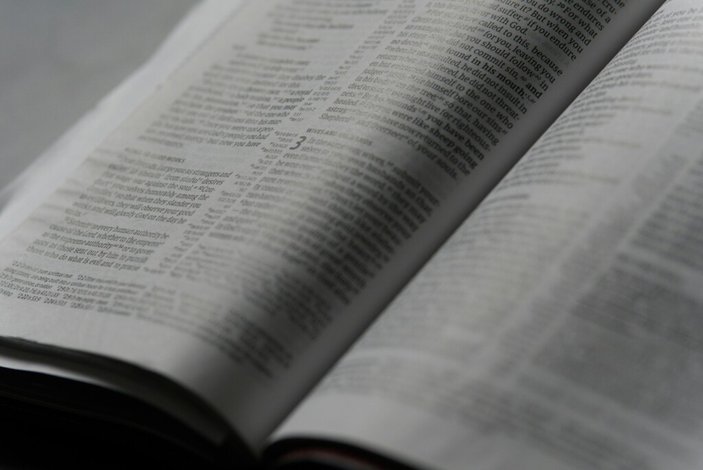 TEXTES JURIDIQUES